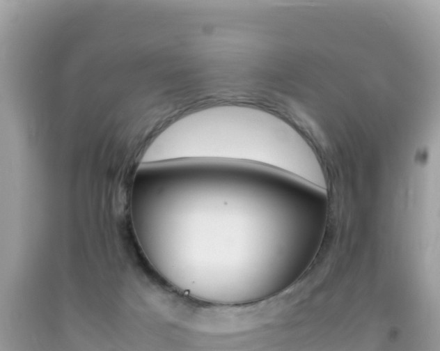 X0000092230025200709140951
