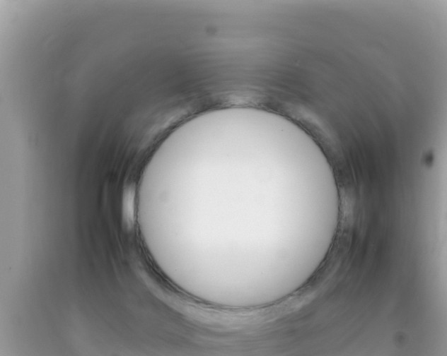 X0000092230028200709140950