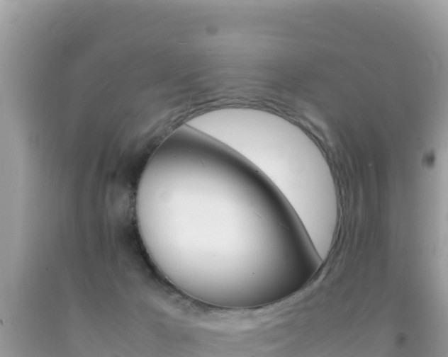 X0000092230029200709140950