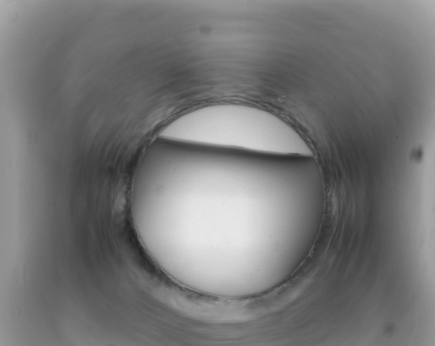 X0000092230032200709140950