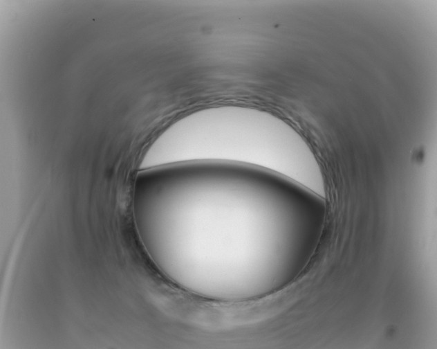X0000092230033200709140950