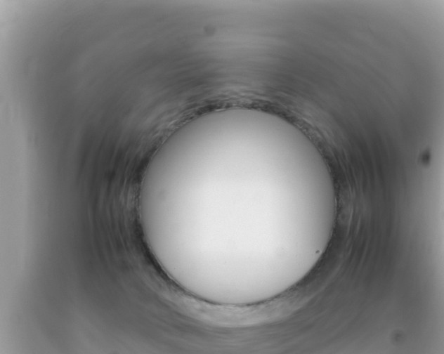 X0000092230034200709140950