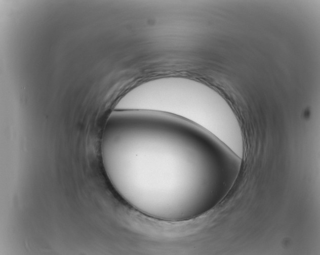 X0000092230035200709140950