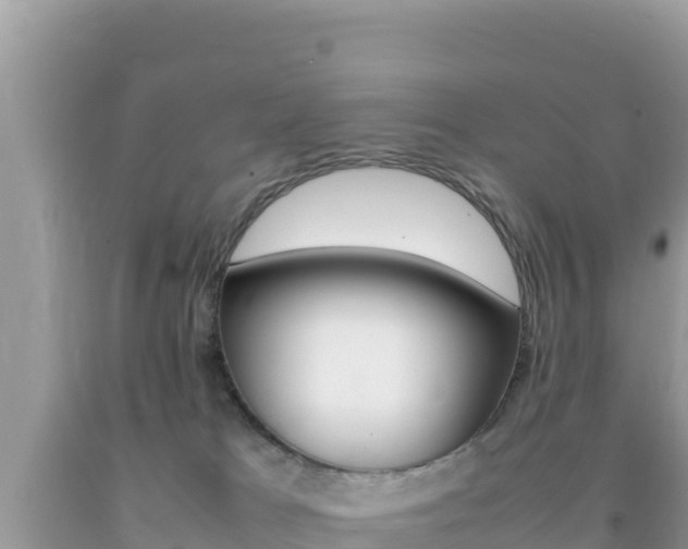 X0000092230037200709140950