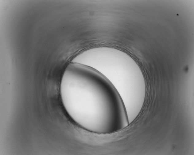 X0000092230039200709140950