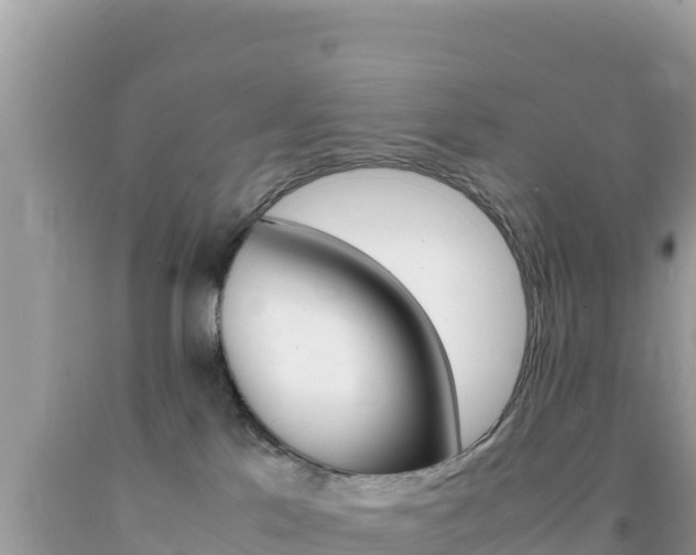 X0000092230041200709140950