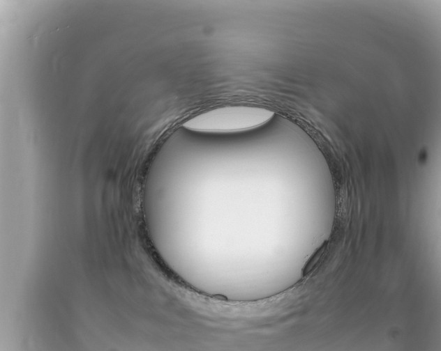 X0000092230043200709140950
