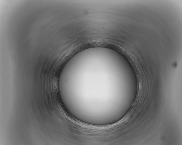 X0000092230048200709140950