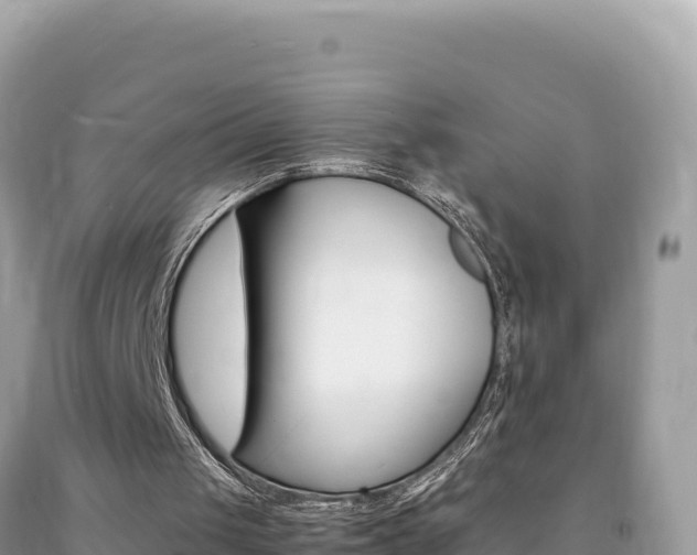 X0000092230049200709140950