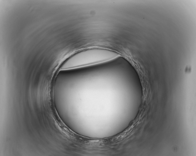 X0000092230050200709140950