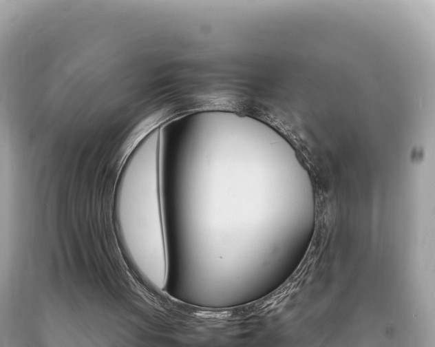 X0000092230051200709140950