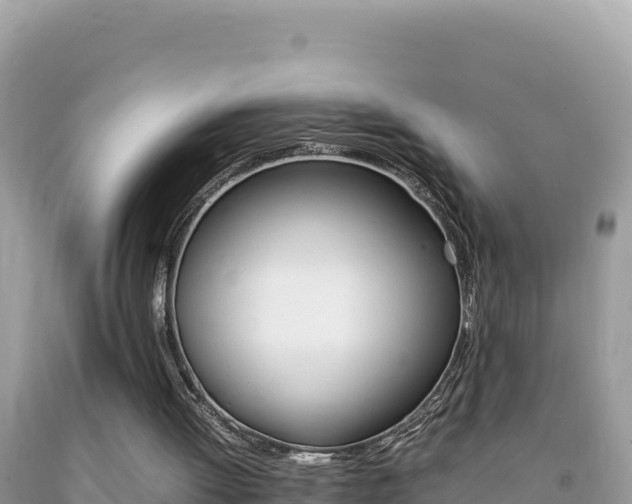 X0000092230052200709140950
