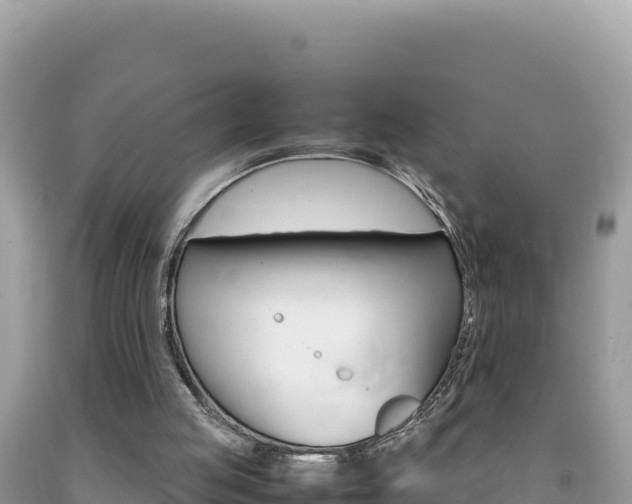 X0000092230053200709140950