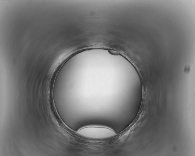 X0000092230055200709140950