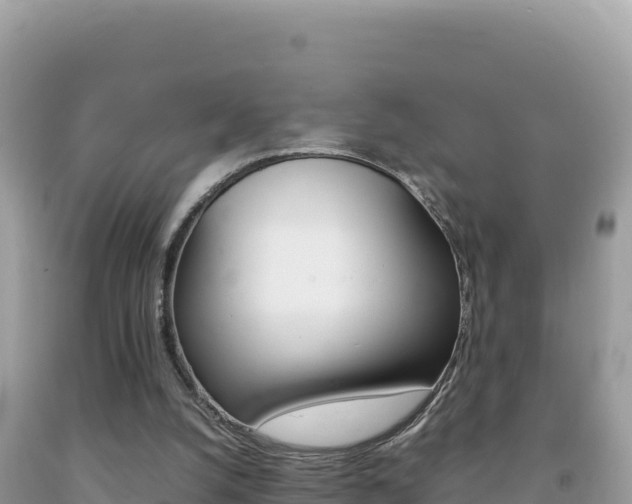 X0000092230056200709140950