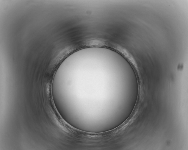 X0000092230057200709140950