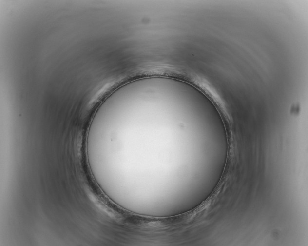X0000092230058200709140950