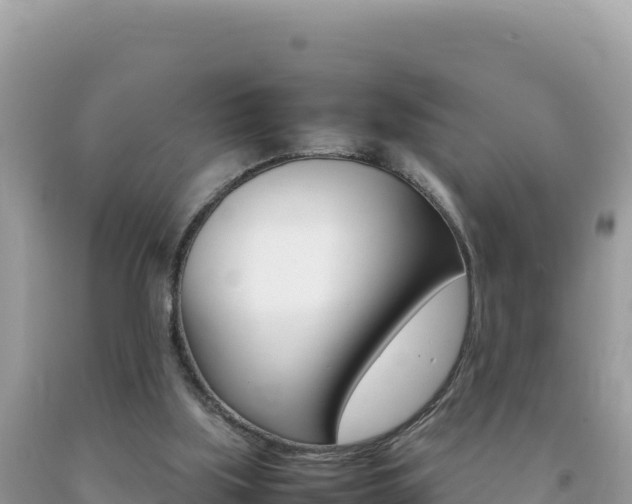 X0000092230059200709140950