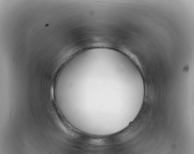 X0000092230061200709140950