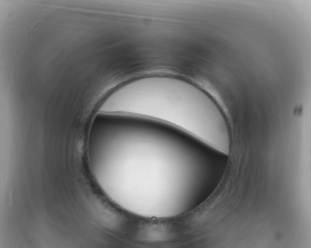 X0000092230063200709140950