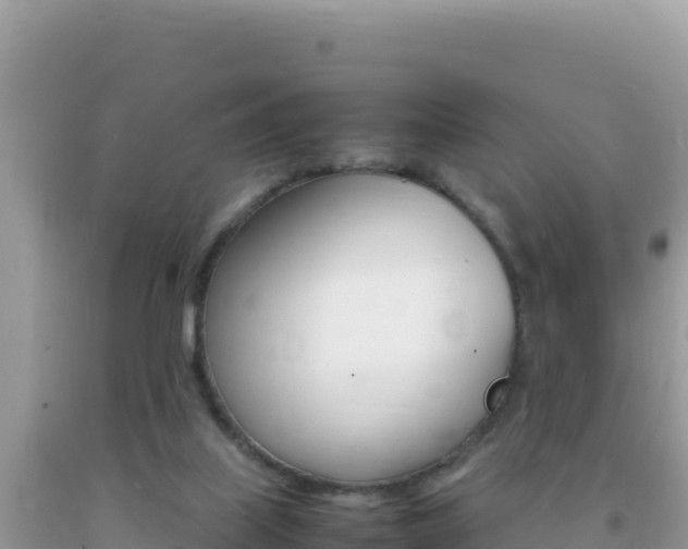 X0000092230067200709140950