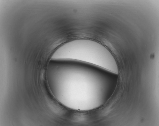 X0000092230071200709140950