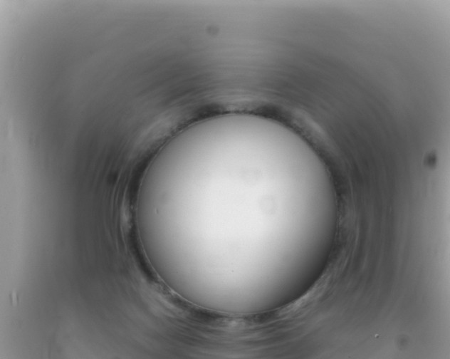 X0000092230074200709140950