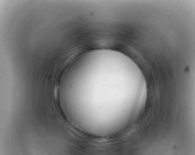 X0000092230075200709140950
