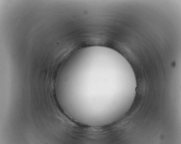X0000092230077200709140950