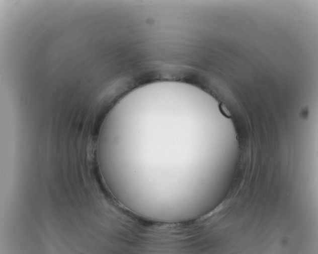 X0000092230078200709140950
