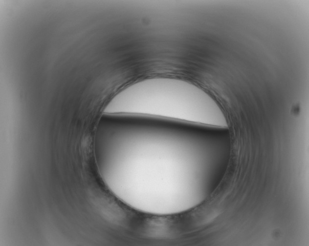 X0000092230079200709140950