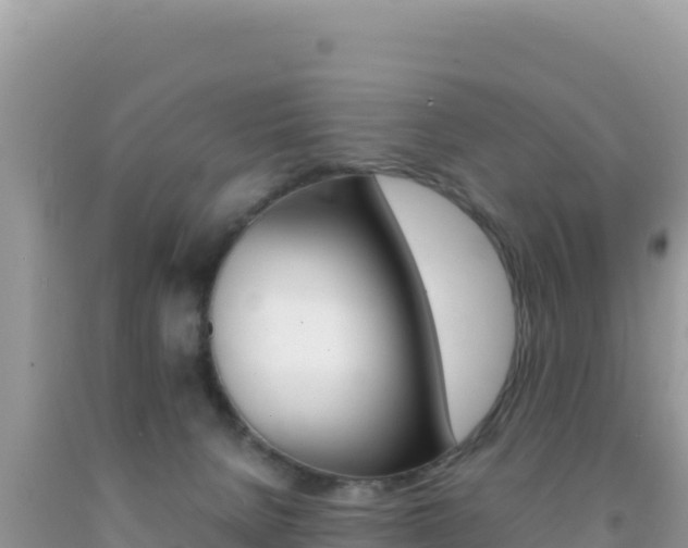 X0000092230080200709140950