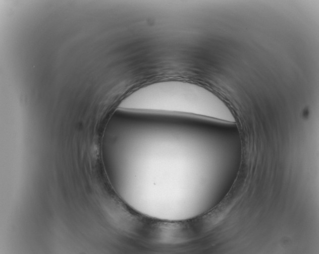 X0000092230085200709140950