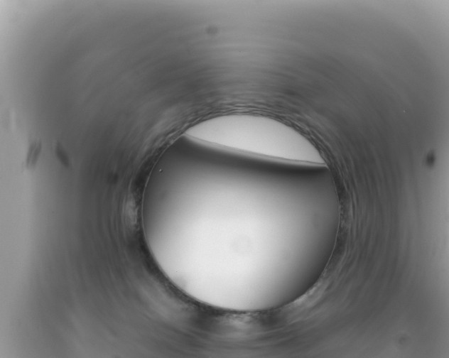 X0000092230086200709140950