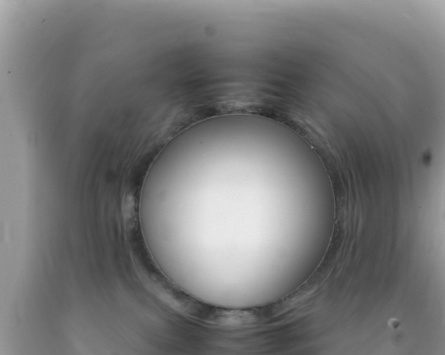 X0000092230087200709140950