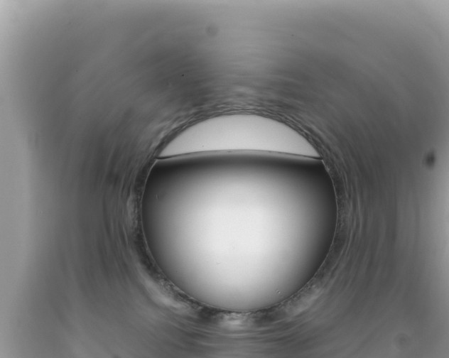 X0000092230088200709140950