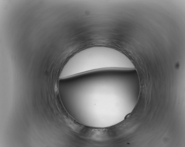 X0000092230089200709140950