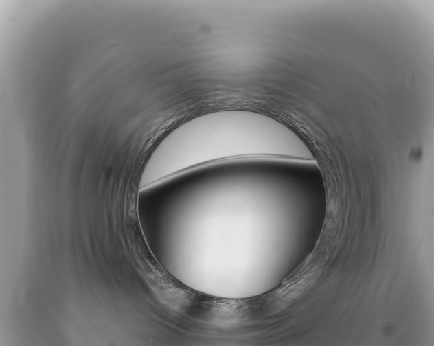 X0000092230096200709140950