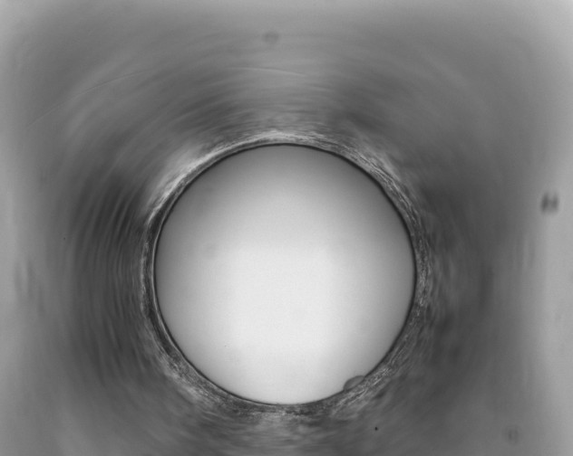 X0000092230098200709140950
