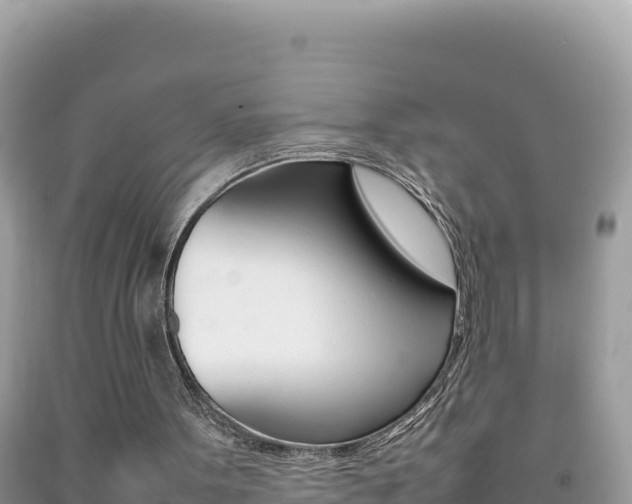 X0000092230099200709140950