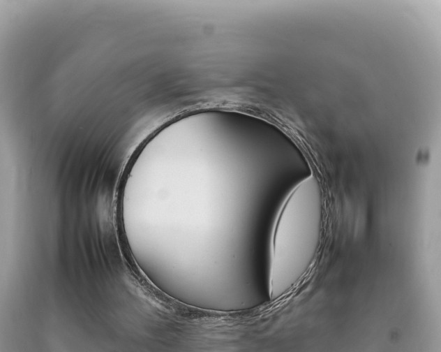 X0000092230100200709140950
