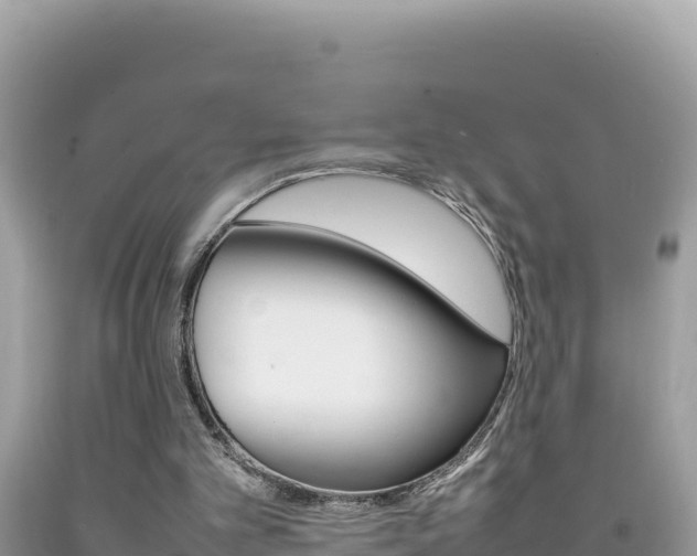 X0000092230101200709140950