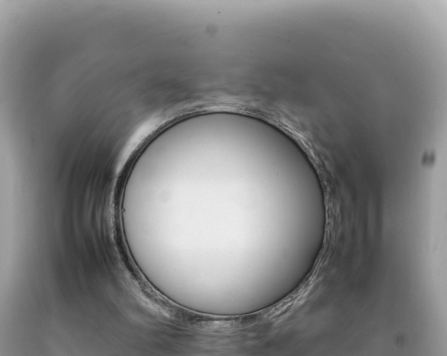 X0000092230102200709140950