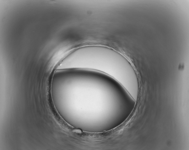 X0000092230103200709140950