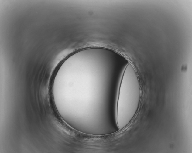 X0000092230104200709140950