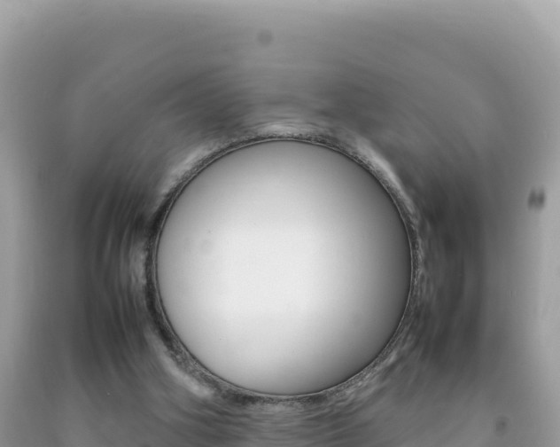 X0000092230106200709140950