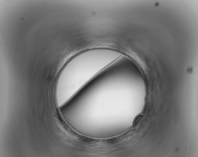 X0000092230107200709140949