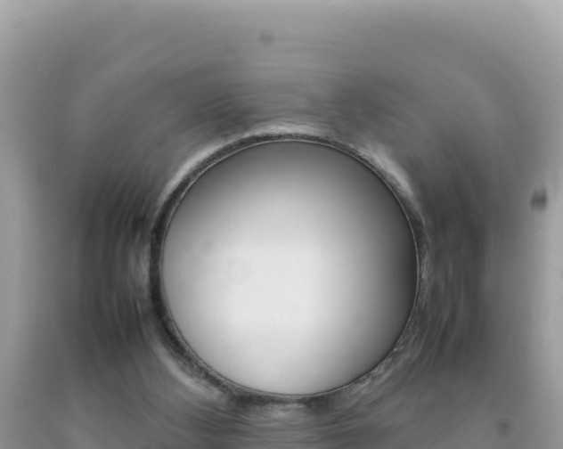 X0000092230108200709140949