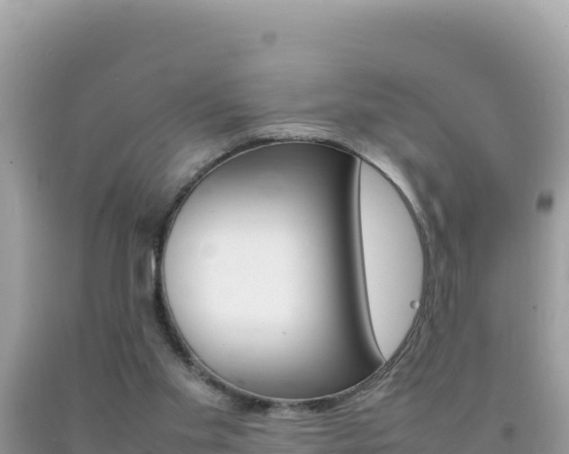 X0000092230109200709140949