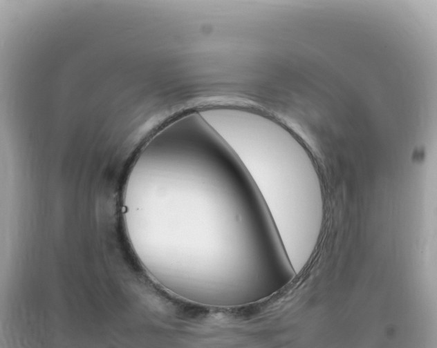 X0000092230111200709140949